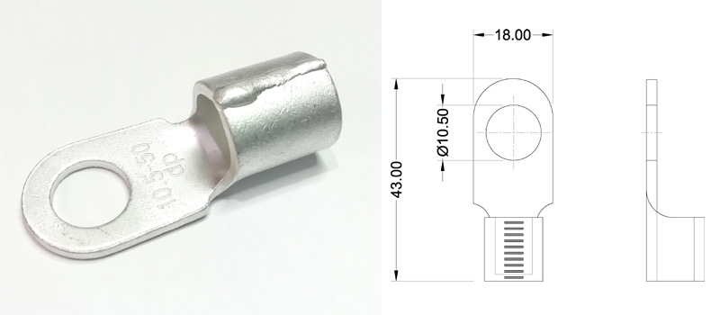 dp-22113-With-Drg